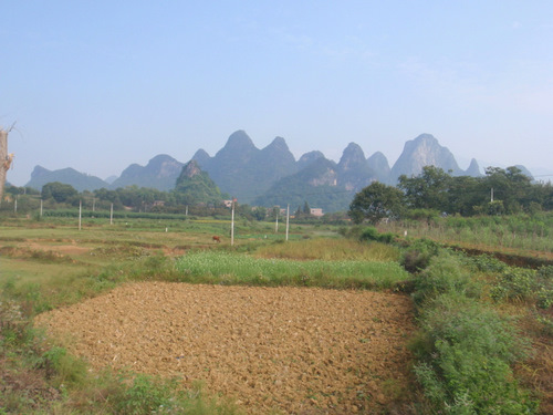 Pastoral View.